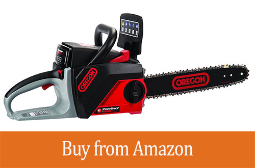 OREGON Cordless 40 Volt MAX CS250-A6 Saw Kit with 4.0 Ah Battery Pack Review